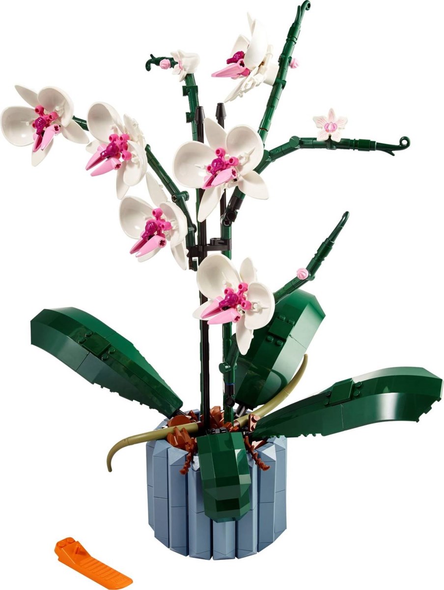 10311 Icons Orchidea