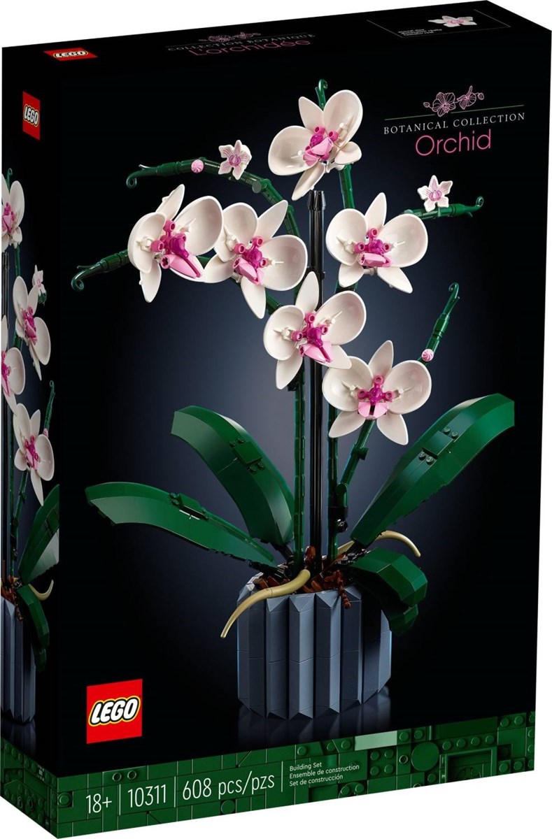10311 Icons Orchidea Sklep W-wa