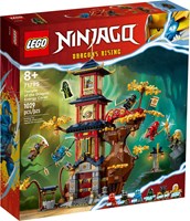 71795 NINJAGO Świątynia smoczej energii