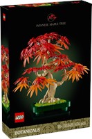 10348 Botanicals Klon palmowy bonsai